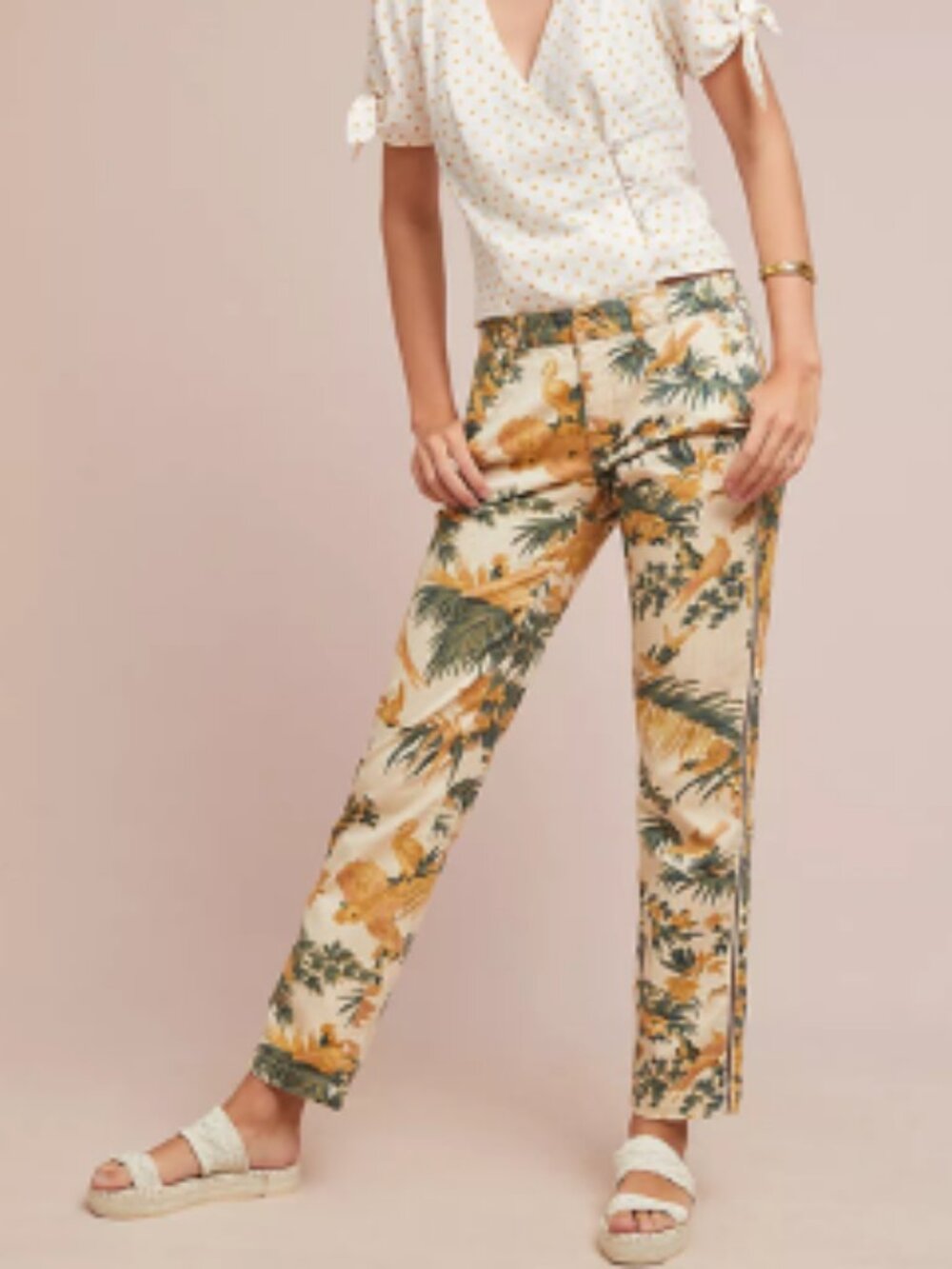 Chino by Anthropologie Floral & Birds Print Pants